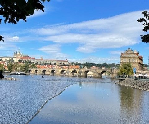 Karlsbrücke in Prag